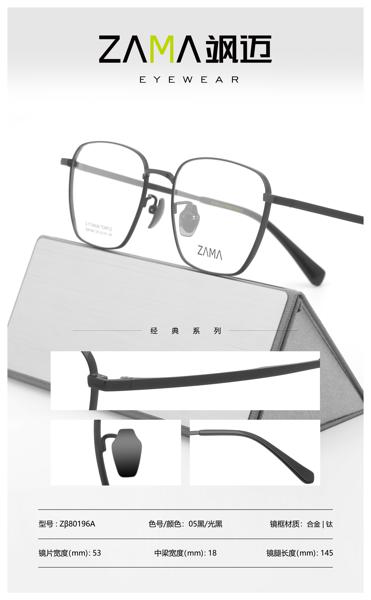 Zβ80196A
